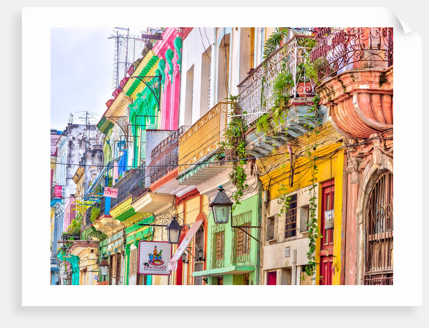 Colorful houses in Havana by Assaf Frank